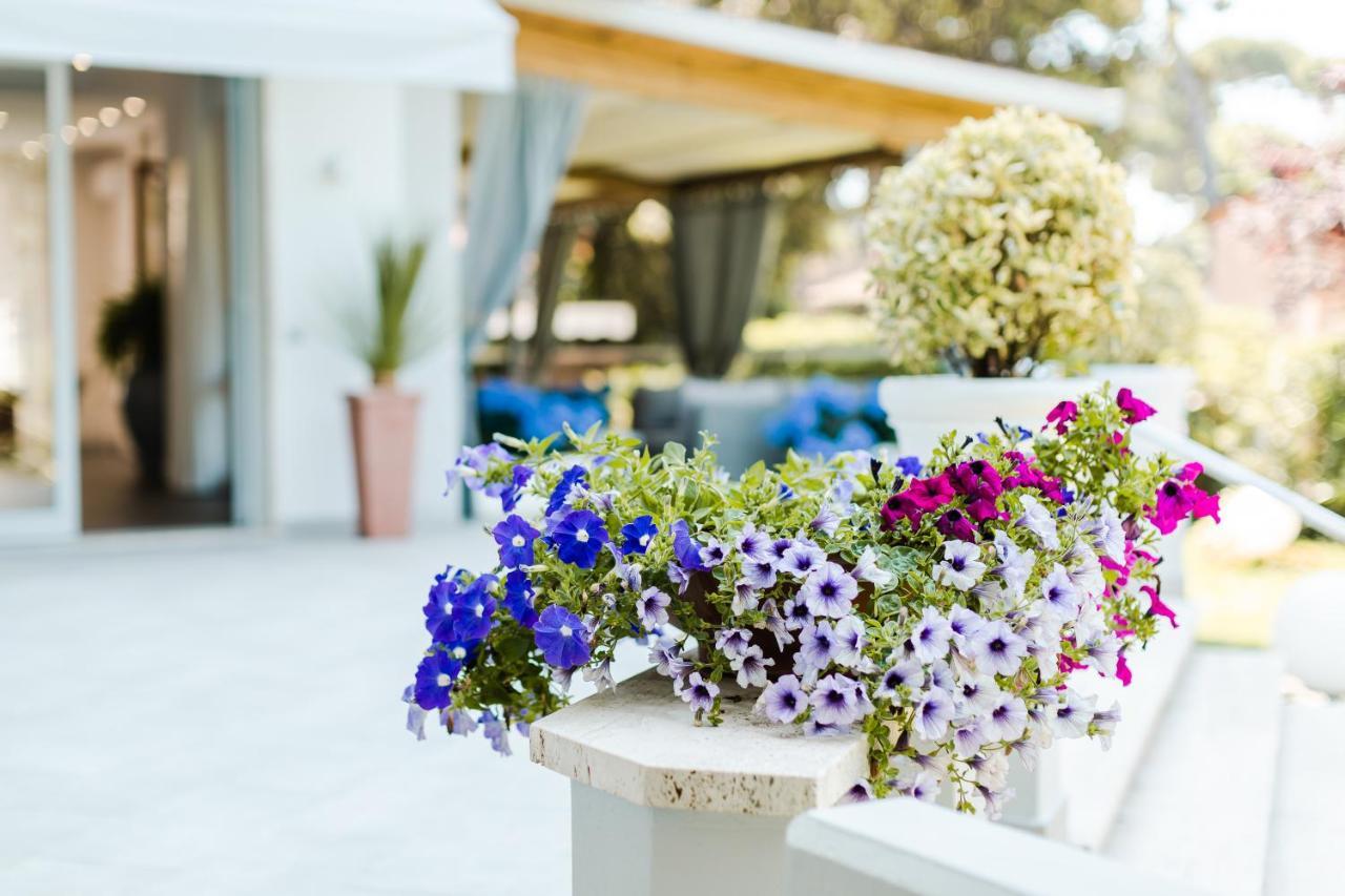 Park Hotel Giusy Lido di Camaiore Ngoại thất bức ảnh