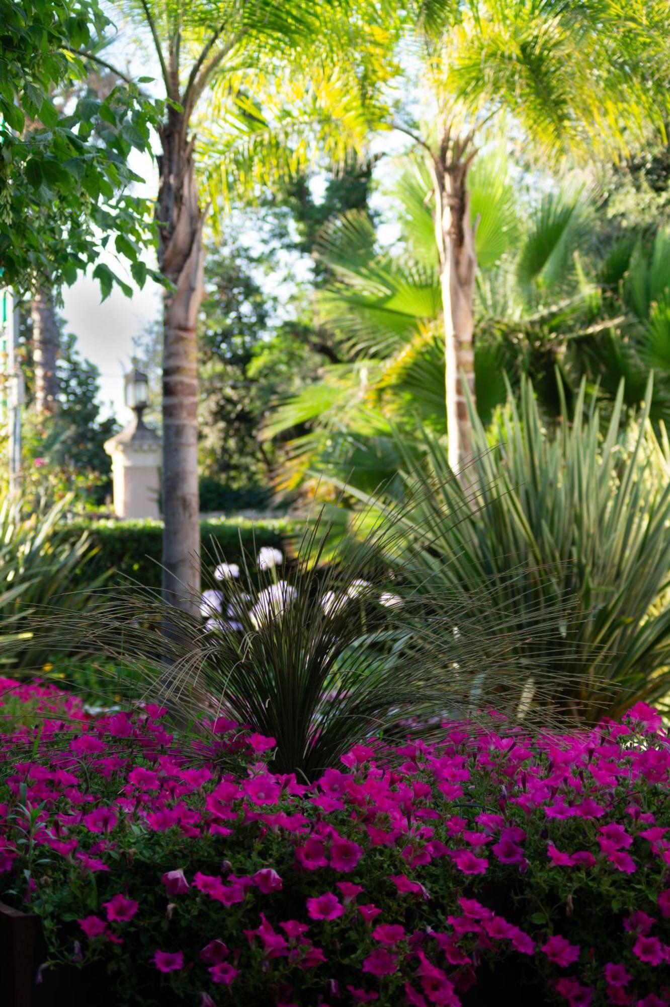 Park Hotel Giusy Lido di Camaiore Ngoại thất bức ảnh